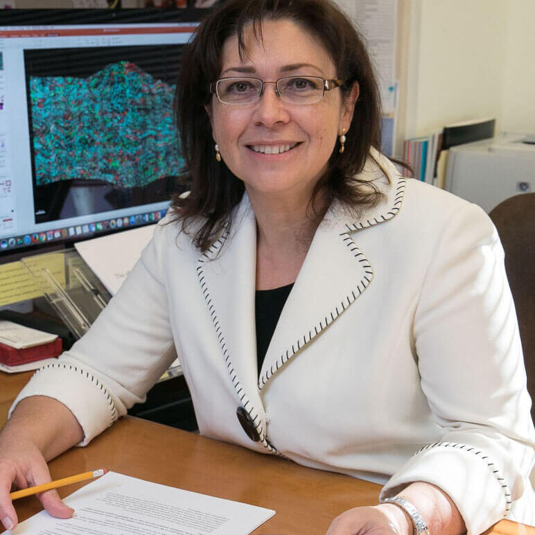 Luisa Iruela-Arispe Luisa Iruela-Arispe